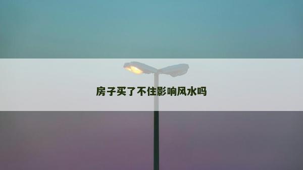 房子買了不住影響風水嗎 房子買了不住影響風水嗎