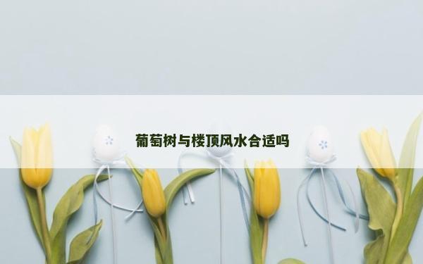 葡萄樹與樓頂風水合適嗎