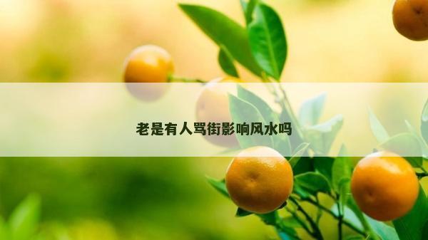 老是有人罵街影響風(fēng)水嗎 老是有人罵街影響風(fēng)水嗎