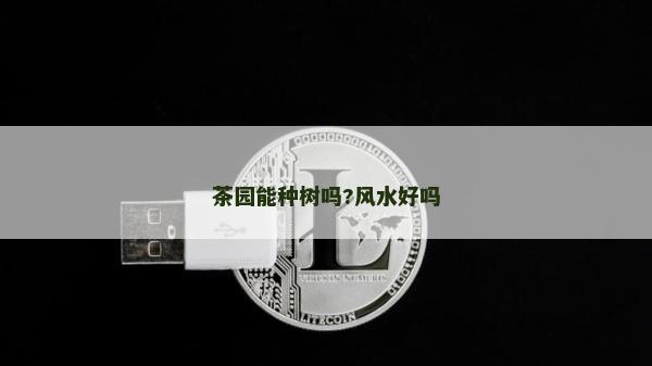 茶園能種樹嗎?風水好嗎