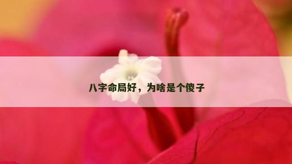 八字命局好，為啥是個(gè)傻子