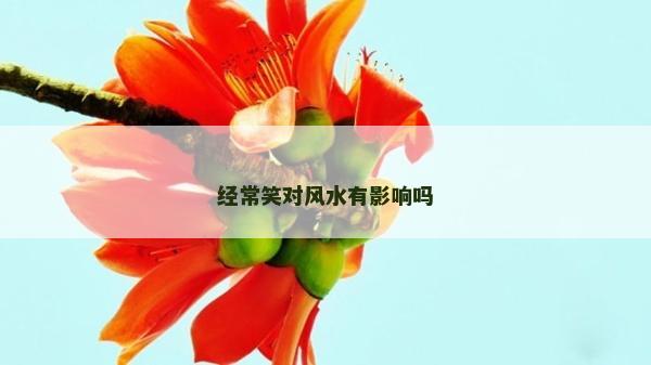 經常笑對風水有影響嗎
