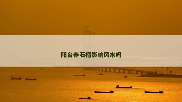 陽(yáng)臺(tái)養(yǎng)石榴影響風(fēng)水嗎