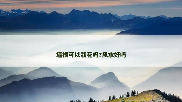 墻根可以栽花嗎?風(fēng)水好嗎 墻根可以栽花嗎?風(fēng)水好嗎