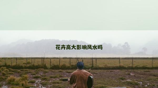 花卉高大影響風水嗎 花卉高大影響風水嗎