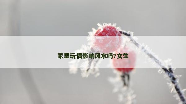 家里玩偶影響風(fēng)水嗎?女生