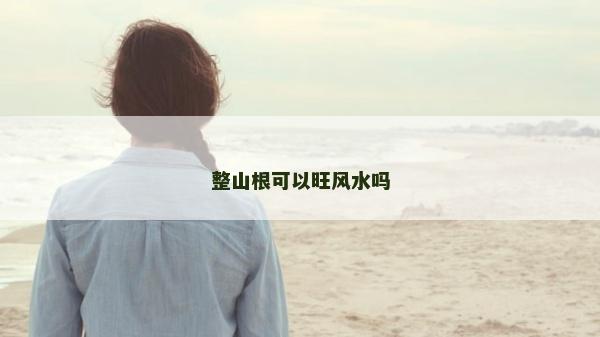 整山根可以旺風(fēng)水嗎