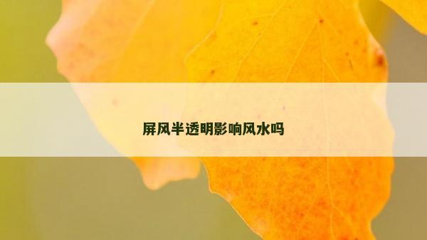 屏風(fēng)半透明影響風(fēng)水嗎