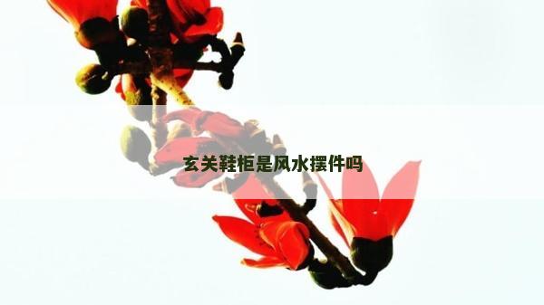 玄關(guān)鞋柜是風(fēng)水?dāng)[件嗎