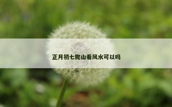 正月初七爬山看風水可以嗎
