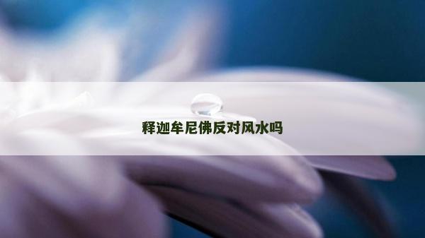 釋迦牟尼佛反對風(fēng)水嗎