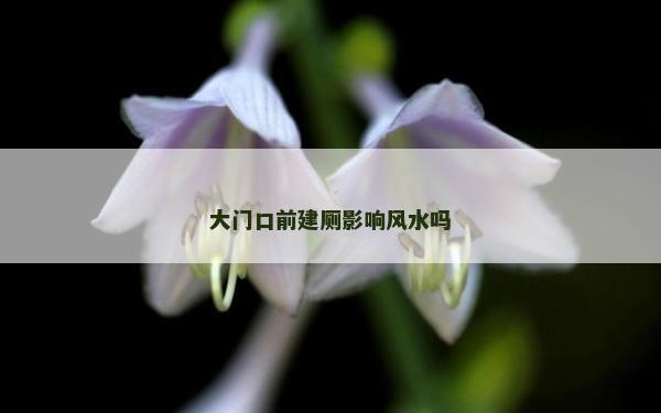 大門口前建廁影響風(fēng)水嗎 大門口前建廁影響風(fēng)水嗎