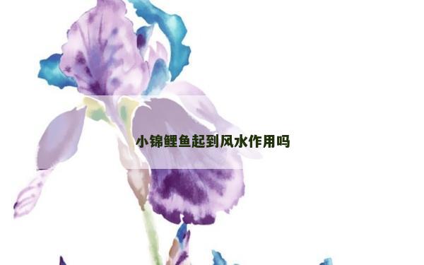 小錦鯉魚起到風(fēng)水作用嗎