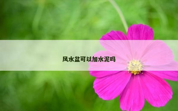 風(fēng)水盆可以加水泥嗎