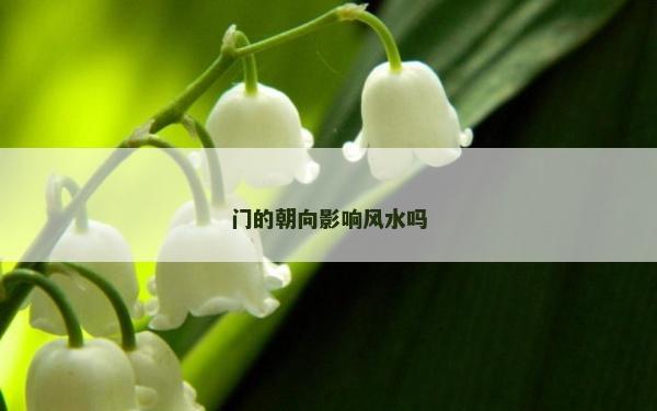 門的朝向影響風水嗎