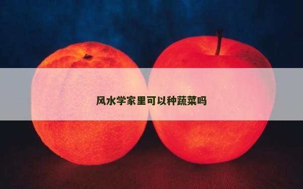風(fēng)水學(xué)家里可以種蔬菜嗎