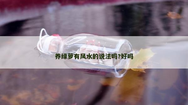 養(yǎng)綠蘿有風水的說法嗎?好嗎
