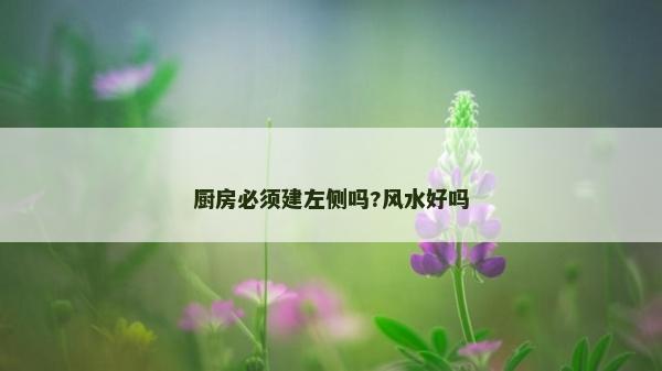 廚房必須建左側嗎?風水好嗎
