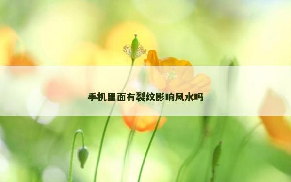 手機里面有裂紋影響風水嗎