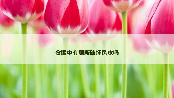 倉庫中有廁所破壞風水嗎