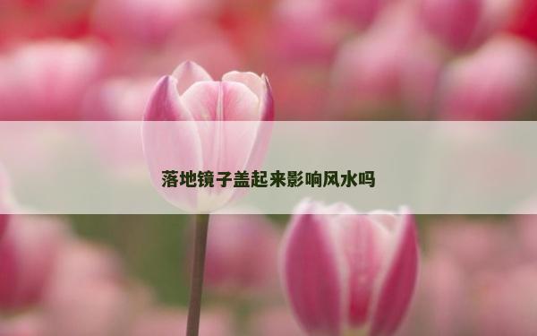 落地鏡子蓋起來影響風水嗎 落地鏡子蓋起來影響風水嗎
