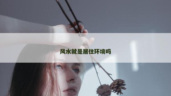 風(fēng)水就是居住環(huán)境嗎