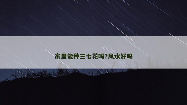 家里能種三七花嗎?風水好嗎