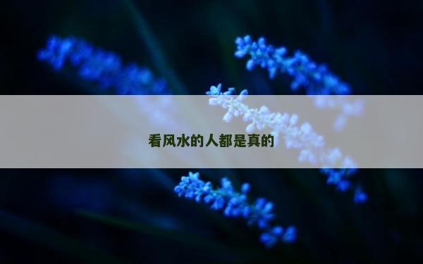 看風水的人都是真的