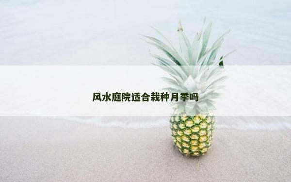 風水庭院適合栽種月季嗎