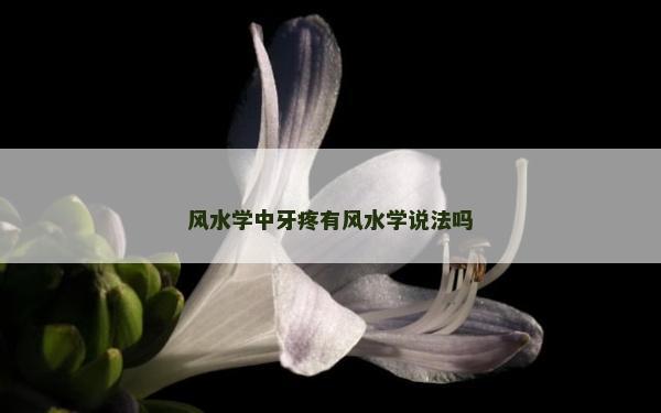 風水學中牙疼有風水學說法嗎 風水學中牙疼有風水學說法嗎