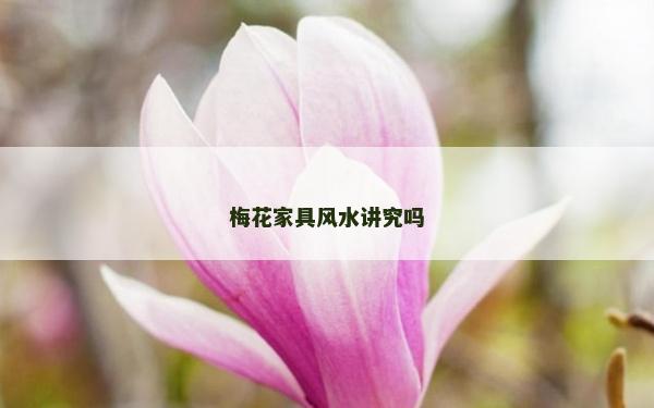 梅花家具風水講究嗎 梅花家具風水講究嗎