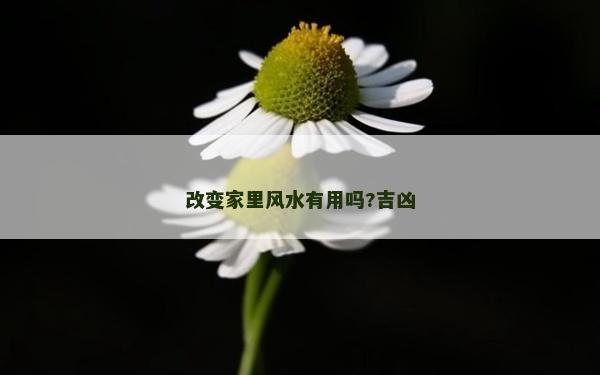 改變家里風(fēng)水有用嗎?吉兇
