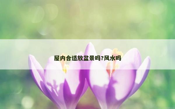 屋內(nèi)合適放盆景嗎?風(fēng)水嗎