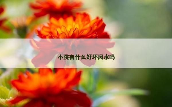 小院有什么好壞風水嗎