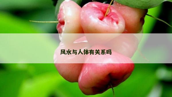 風(fēng)水與人體有關(guān)系嗎