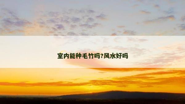 室內(nèi)能種毛竹嗎?風(fēng)水好嗎