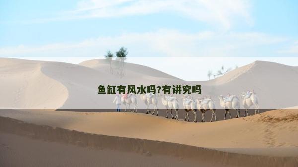 魚缸有風水嗎?有講究嗎 魚缸有風水嗎?有講究嗎