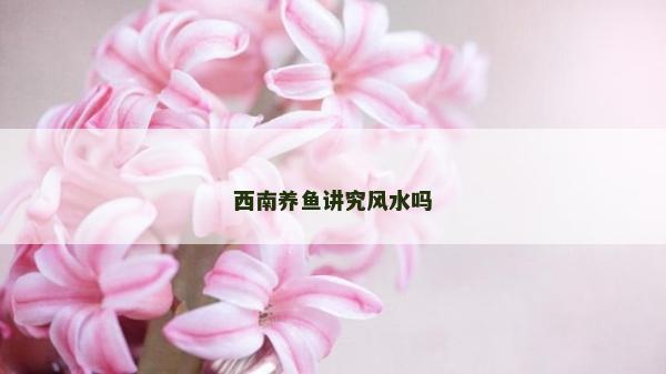 西南養(yǎng)魚(yú)講究風(fēng)水嗎
