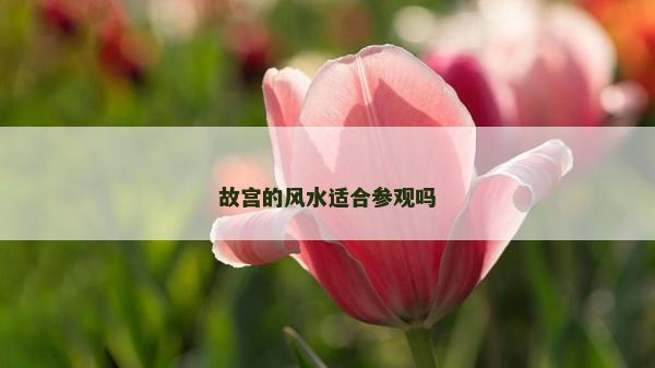 故宮的風水適合參觀嗎 故宮的風水適合參觀嗎