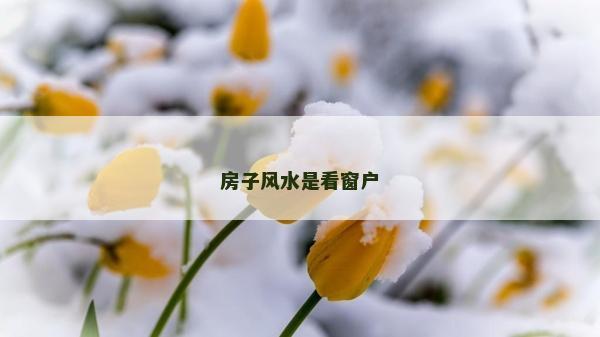 房子風(fēng)水是看窗戶