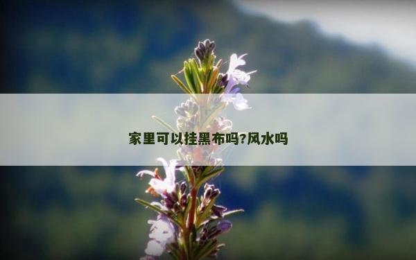 家里可以掛黑布嗎?風(fēng)水嗎