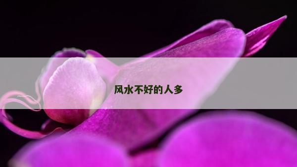 風(fēng)水不好的人多