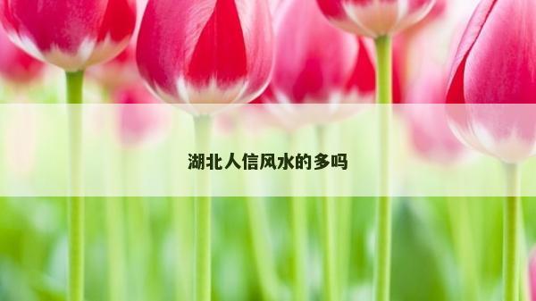 湖北人信風水的多嗎 湖北人信風水的多嗎