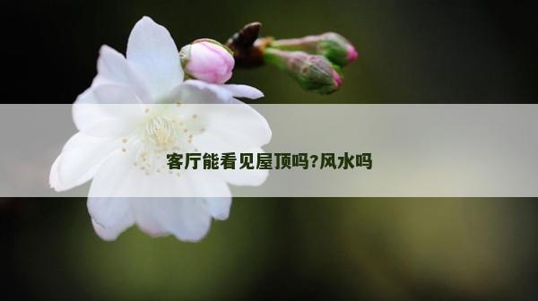客廳能看見屋頂嗎?風(fēng)水嗎