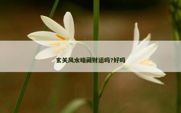 玄關風水暗藏財運嗎?好嗎