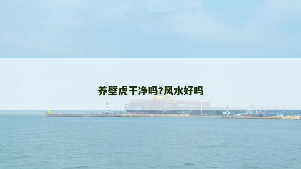 養壁虎干凈嗎?風水好嗎