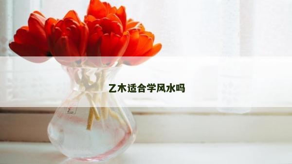 乙木適合學風水嗎 乙木適合學風水嗎