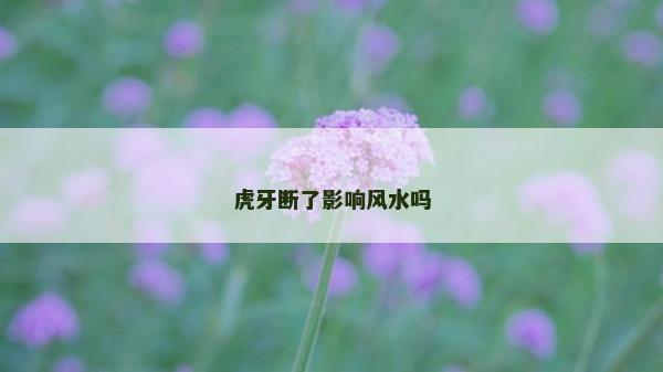 虎牙斷了影響風水嗎