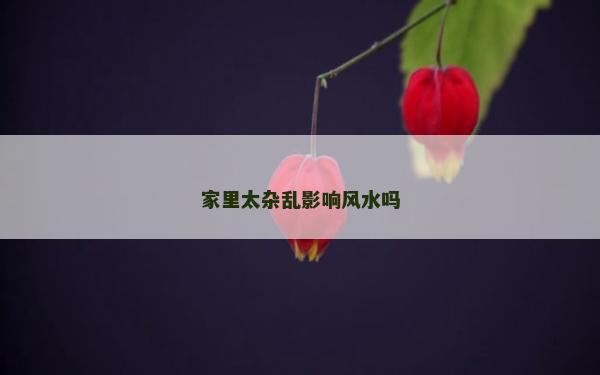 家里太雜亂影響風(fēng)水嗎