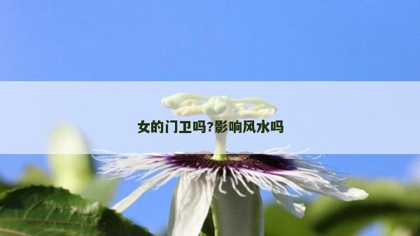 女的門衛嗎?影響風水嗎